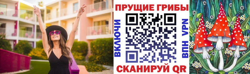 купить закладку  Долгопрудный  Псилоцибиновые грибы Psilocybe 